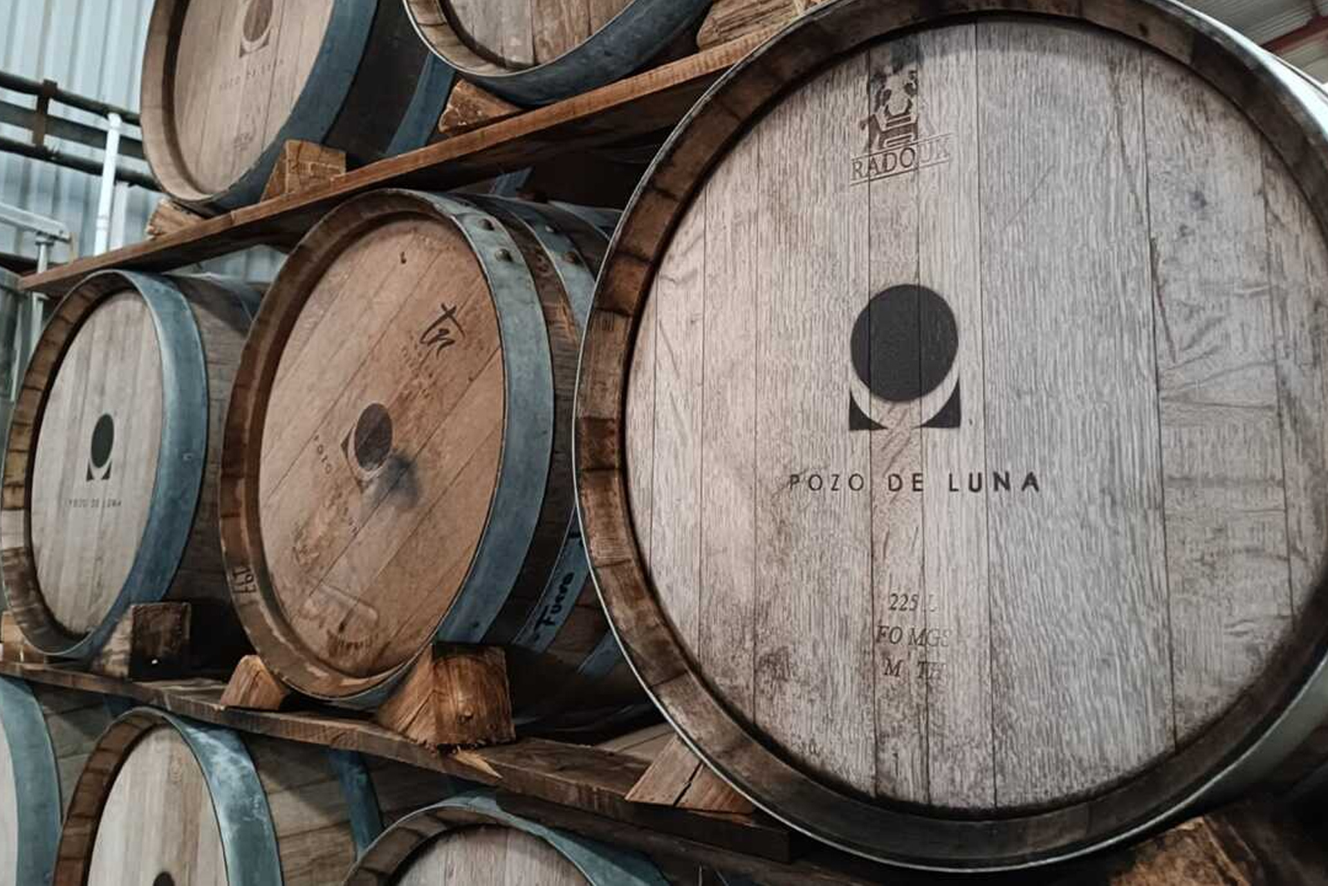 imagen José Cerrillo Chowell