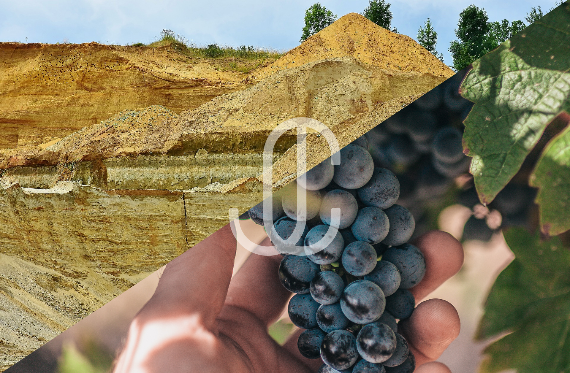 imagen José Cerrillo Chowell