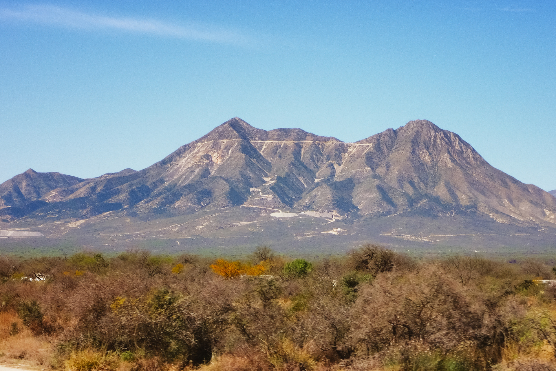 imagen José Cerrillo Chowell
